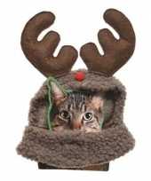 Kerstoutfit katten poezen rendierenoutfit