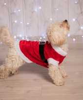 Kerstoutfit voor de hond